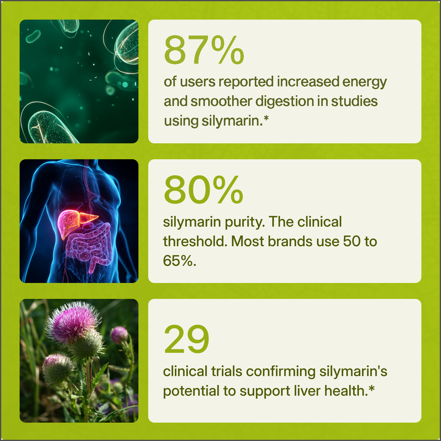 Uvora - Milk Thistle Support
