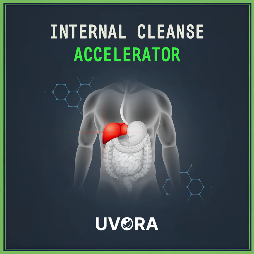 FREE - Internal Cleanse Accelerator eBook