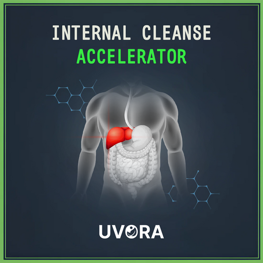 FREE - Internal Cleanse Accelerator eBook