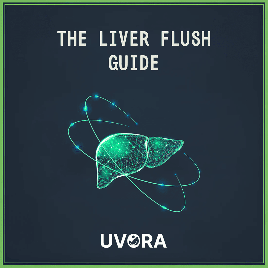 FREE - Liver Support Guide eBook
