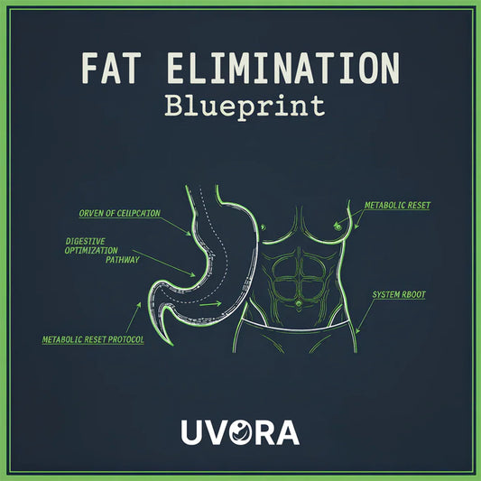 FREE - Fat Elimination Blueprint eBook